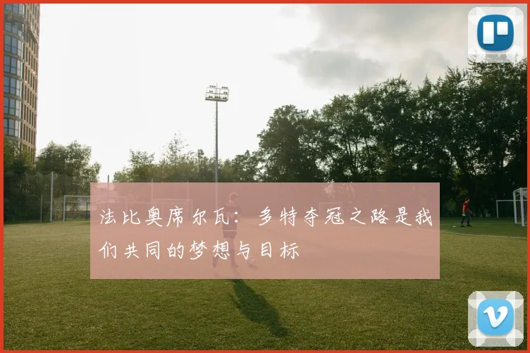 法比奥席尔瓦：多特夺冠之路是我们共同的梦想与目标