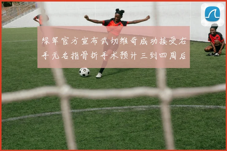 绿军官方宣布武切维奇成功接受右手无名指骨折手术预计三到四周后复查